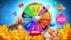 organized cricket player reading layout for casino 777 Bangladesh visitors